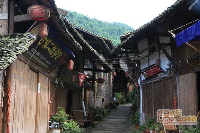 “00后”直播抓住“鸡”遇逐梦乡村